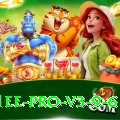 1ee Pro v3.9.6