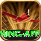 Aviator Game Pakistan Ultimate Gaming App