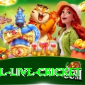 bpl live cricket - Slots King