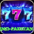 Casumo Pakistan Apps (Tools & Injectors) Pro v5.2.7