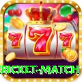 international cricket match Champion v5.2.6