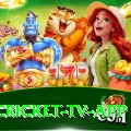 live cricket tv app Super - Casino & Slots