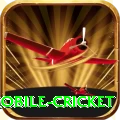 mobile cricket Deluxe - Win Real PKR