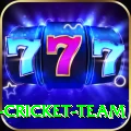 mumbai cricket team King PK v2.9.2