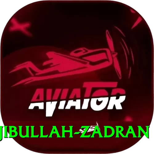 najibullah zadran Casino VIP v3.1.4 - 2