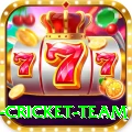 new zealand cricket team Jackpot Super v4.3.0