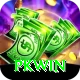 PKWin Apps (Tools & Injectors) VIP v4.1.5