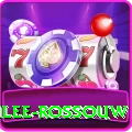 rilee rossouw Slots Max v4.3.5