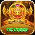 tiger888 Live Casino Elite