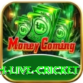 watch live cricket Slot Machine Royal